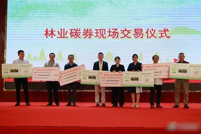 通道林农再获一项权利！怀化市林地生态系统碳汇权证暨林业碳券在通道首发