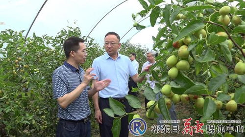 市林业局深入我县开展林业工作调研 聚焦产业发展，助力林产品销售升级