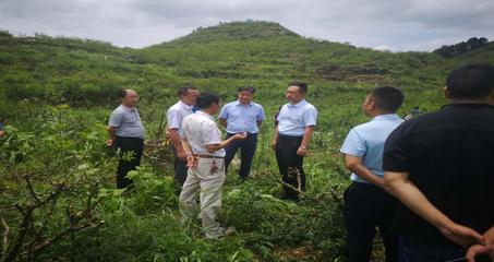 遵义市林业局 构建绿色产业体系，推动林业产品销售高质量发展