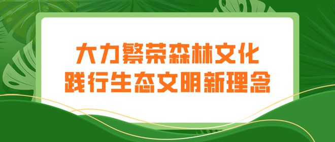 生态廊道绘就绿色画卷 衢州林业“十四五”规划发布下的诗画风光带新生