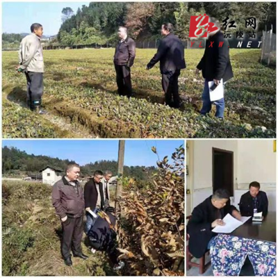 县林业局开展双随机检查与诚信宣传，打造阳光执法生态环境