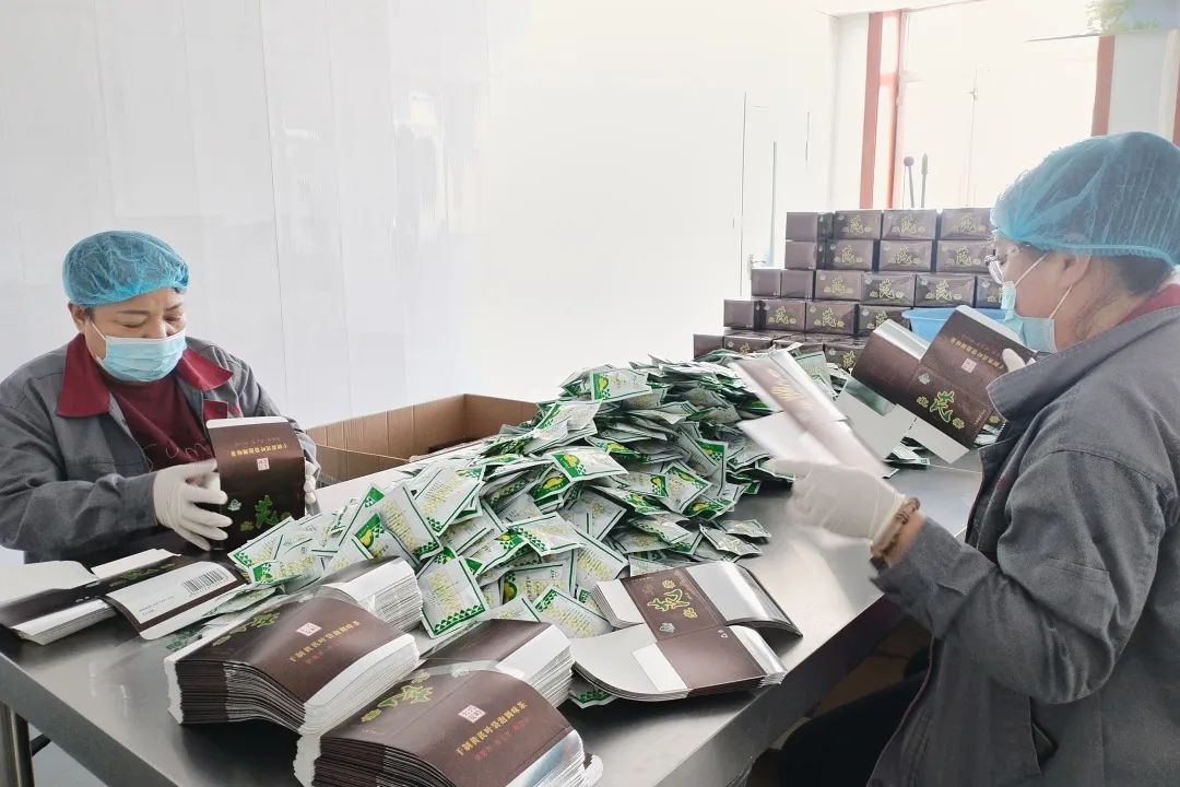 韩家园林业局 做实“两山”转化文章，绘就林下经济发展新画卷，助力电子产品销售